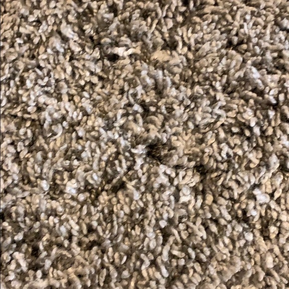 Meet your Posher, Kiley - Picture 1 of 1